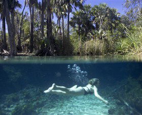 Bitter Springs - Darwin Tourism 0