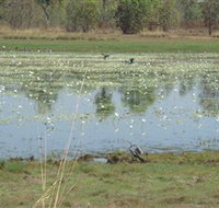Leaning Tree Lagoon Nature Park - Darwin Tourism
