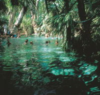 Mataranka Thermal Pool - Darwin Tourism