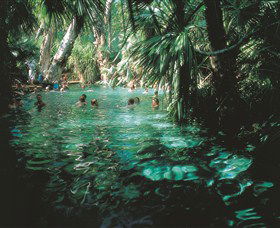 Mataranka Thermal Pool - Darwin Tourism 0