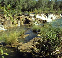 Flora River Nature Park - Darwin Tourism