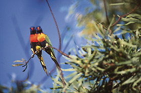 Wangi Falls Walk - Darwin Tourism 0