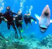 The Aarhus Dive Site - Darwin Tourism