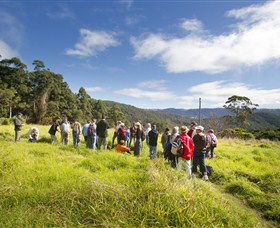 Springbrook QLD Darwin Tourism