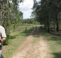 Coombabah Lakes Conservation Area - Darwin Tourism