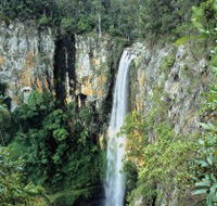 Gondwana Rainforests of Australia - Darwin Tourism