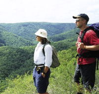 Sunshine Coast Hinterland Great Walk - Darwin Tourism