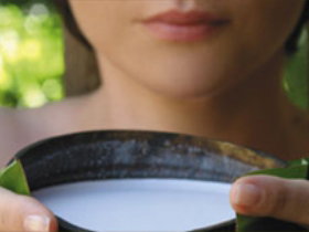 Doonan QLD Darwin Tourism