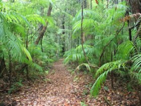Mapleton QLD Darwin Tourism