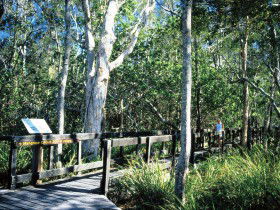 Noosa Heads QLD Darwin Tourism