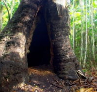 Tewantin National Park - Darwin Tourism