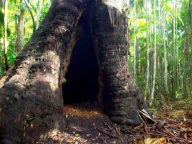 Tewantin National Park - Darwin Tourism 0