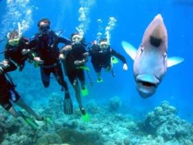 Jew Shoal Dive Site - Darwin Tourism 0