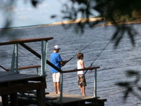 Currimundi Lake (Kathleen McArthur) Conservation Park - Darwin Tourism 0