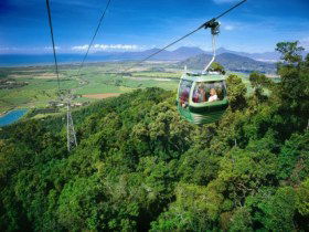 Skyrail Rainforest Cableway - Darwin Tourism 0
