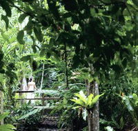 Flecker Botanic Gardens - Darwin Tourism