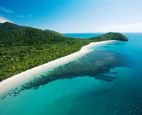 Cape Tribulation, Daintree National Park - Darwin Tourism 0