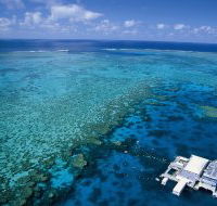 Agincourt Reef - Darwin Tourism