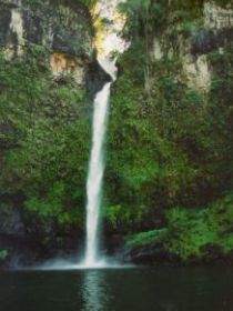 Nandroya Falls Circuit Track, Wooroonooran National Park - Darwin Tourism 0