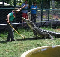 Snakes Downunder Reptile Park and Zoo - Darwin Tourism