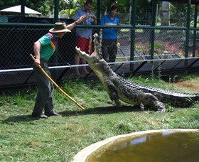 Snakes Downunder Reptile Park And Zoo - Darwin Tourism 0