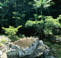 Conway State Forest - Darwin Tourism