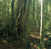 Mount Bithongabel - Darwin Tourism