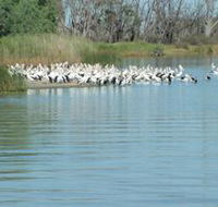 Lake Ross - Darwin Tourism