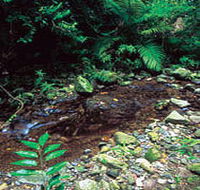Wompoo Walk - Darwin Tourism