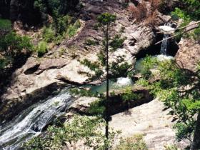 Banksia Track And The Boardwalk - Darwin Tourism 0