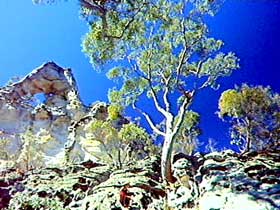 Mitchell QLD Darwin Tourism
