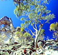 Mount Moffatt Section - Carnarvon National Park - Darwin Tourism