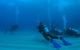 Child Island Dive Site - thumb 0