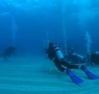 Child Island Dive Site - Darwin Tourism