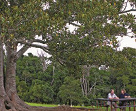 Kulpi ACT Darwin Tourism