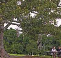 Ravensbourne National Park - Darwin Tourism