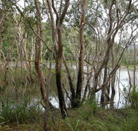 Mount Rooper Circuit and Swamp Bay Track - Darwin Tourism
