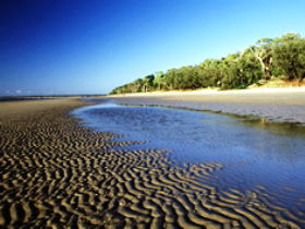 Kinkuna Section - Darwin Tourism 0