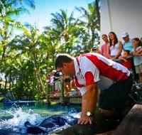The Living Reef on Daydream Island - Darwin Tourism