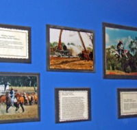 Town Hall Photographic Display - Darwin Tourism