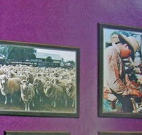 Charleville Photographic Display - Darwin Tourism