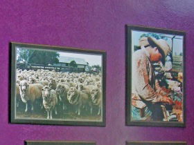 Charleville Photographic Display - Darwin Tourism 0