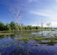 Tyto Wetlands - Darwin Tourism