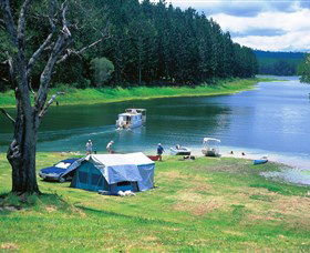 Danbulla National Park And Danbulla State Forest - Darwin Tourism 0