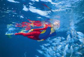 Outer Rocks Dive Site - Darwin Tourism 0