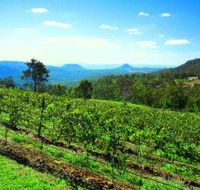 Preston Peak Wines - Darwin Tourism