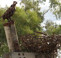 Blackall Sculpture Trail - Darwin Tourism