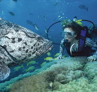 Pelorus Island - Darwin Tourism