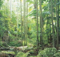 Python Rock - Darwin Tourism