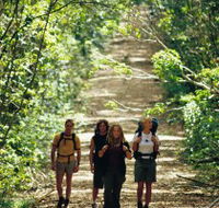 Wet Tropics Great Walk - Darwin Tourism